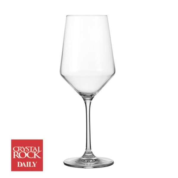 COPAS DEGUSTACION 510 ML